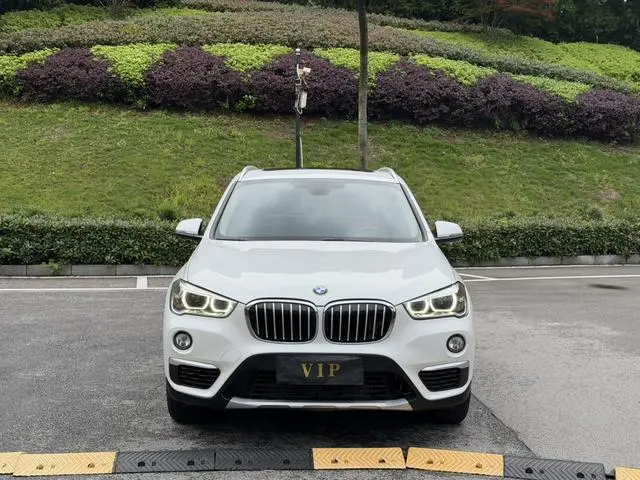 BMW BMW X1 sDrive18Li Exclusive type