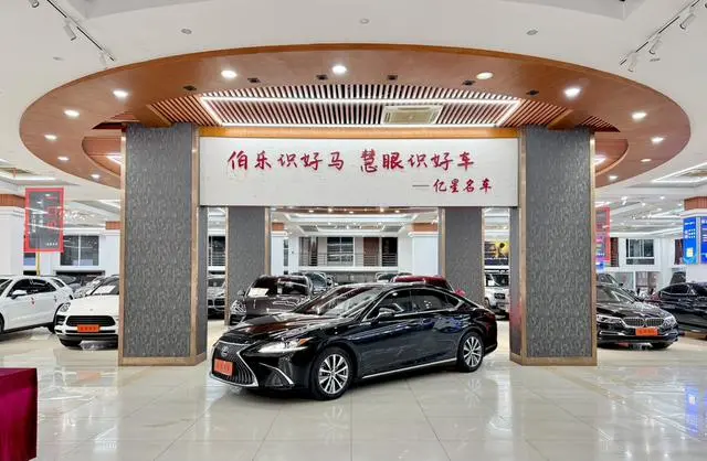 Lexus Lexus ES 2009 Edition Country V