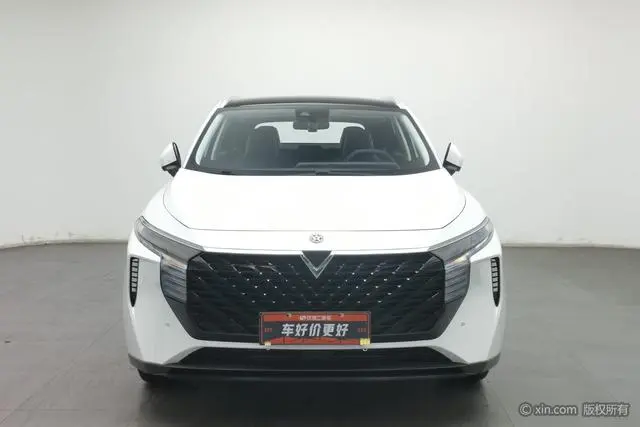Venucia Qichen Big V 260T King Edition