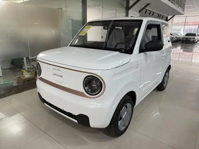 Geely Galaxy panda 200km panda mini endurance bear