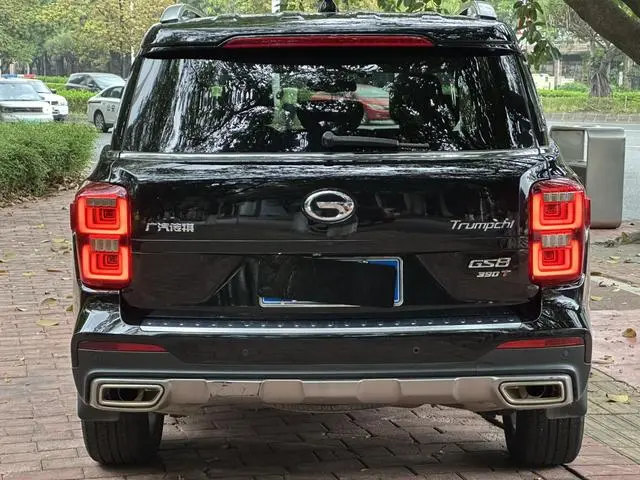 GAC Trumpchi GS8 390T two-wheel drive luxury Zhilian Edition 7 seats