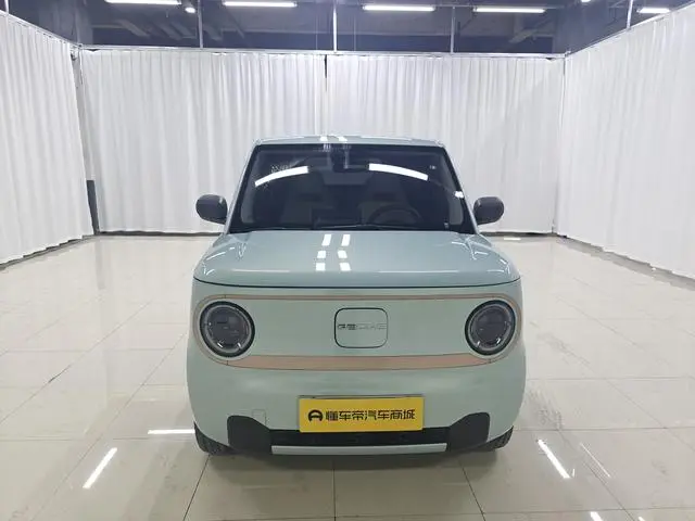 Geely Galaxy panda 200km panda mini endurance bear