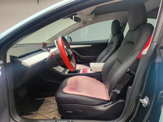 Tesla Model 3 Rear-wheel drive version