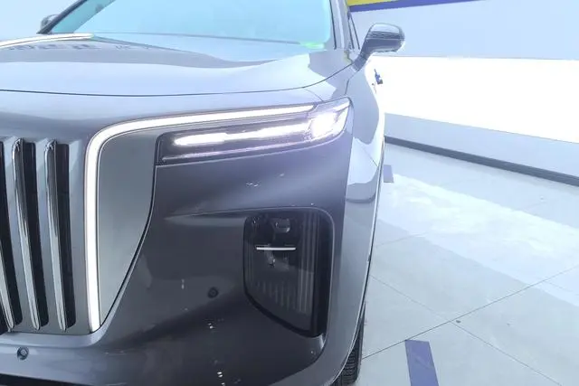 Hongqi Hongqi E-HS9 460km Flag Enjoy edition six seats