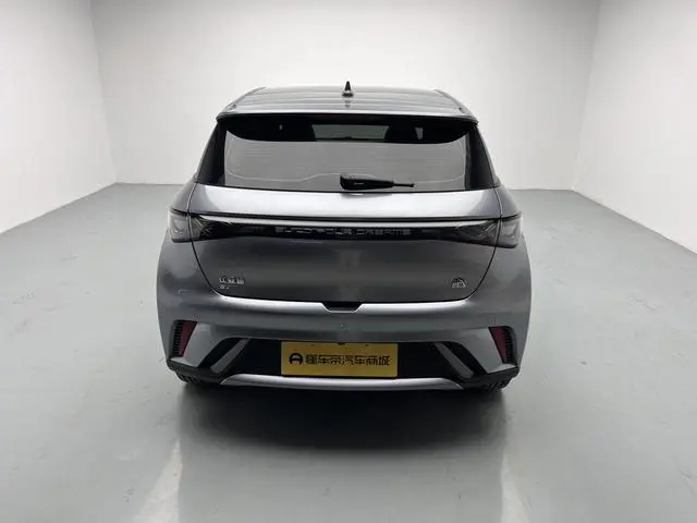 BYD dolphin Fashion edition