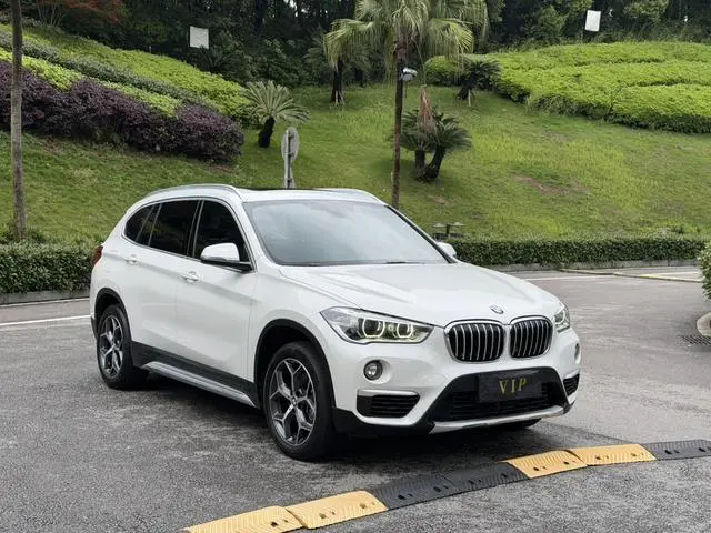 BMW BMW X1 sDrive18Li Exclusive type