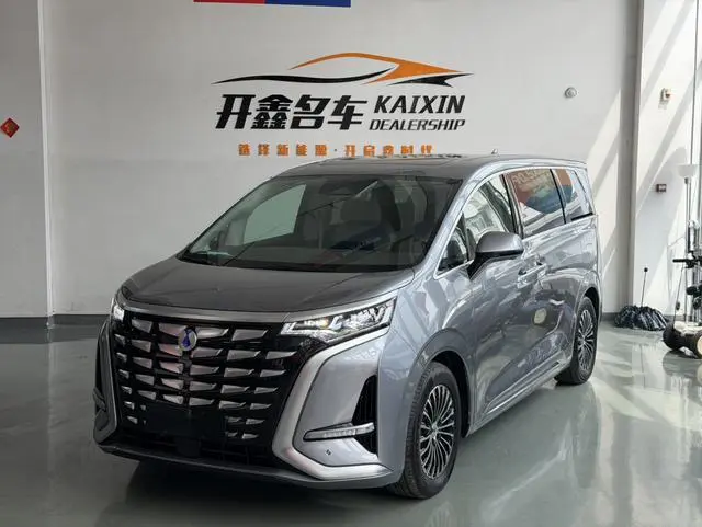 Denza Denza D9 DM 1040 Premium type