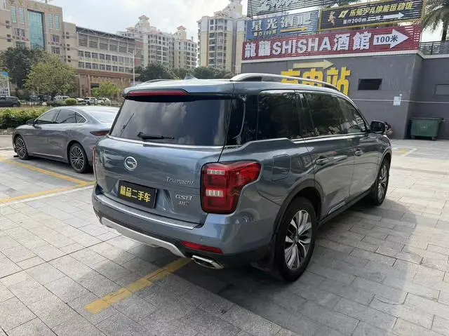 GAC Trumpchi GS8 320T two-wheel drive premium edition 7 seats
