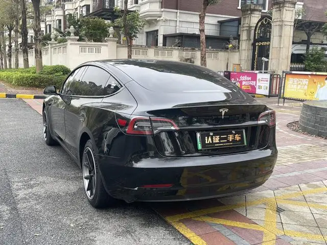 Tesla Model 3 Standard battery life rear drive upgraded version 3D6