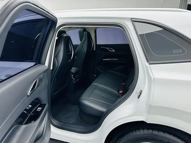 Hongqi Hongqi HS3 1.5T Shanwei Edition
