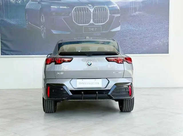 BMW BMW X2 (imported) sDrive25i M sports suit