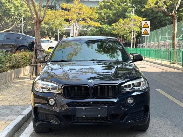 BMW BMW X6 xDrive35i M sports suit