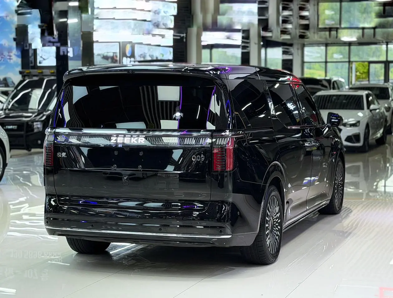 ZEEKR ZEEKR 009 Seven-seater aisle version two-wheel drive 108kWh