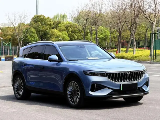 VOYAH Lan Tu FREE Four-wheel drive standard range extension exclusive luxury set