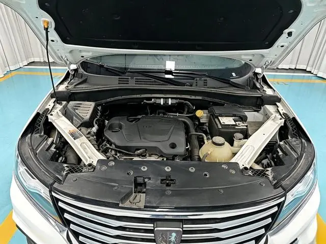Roewe Roewe RX5 330TGI automatic national Tide version