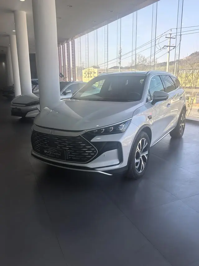 BYD Tang DM Smart driving version DM-i 115KM flagship model