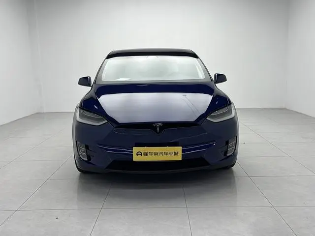 Tesla Model X 100D long battery life version