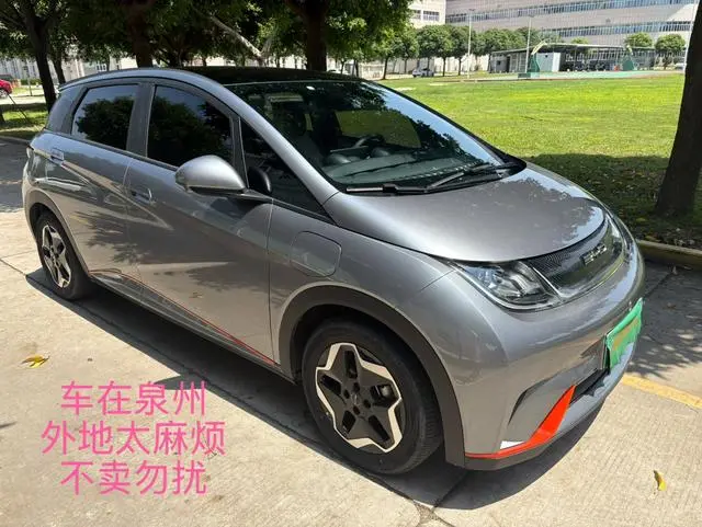 BYD dolphin Fashion edition