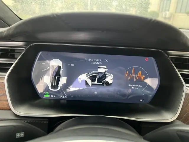 Tesla Model X 100D long battery life version