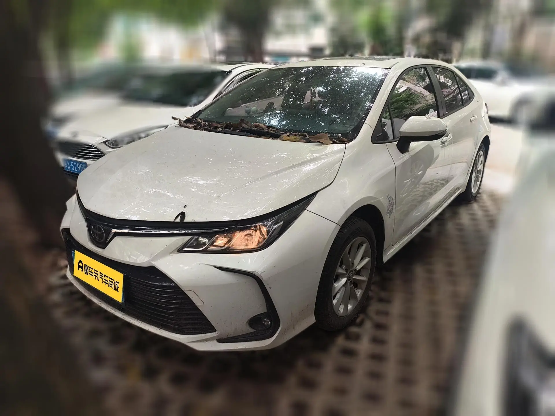 TOYOTA Corolla 1.2T S-CVT Elite PLUS Edition