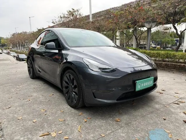 Tesla Model Y Performance high-performance all-wheel drive version