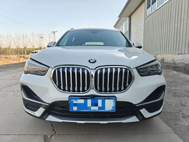 BMW BMW X1 xDrive25Li Exclusive type