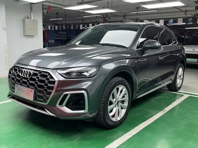 Audi Audi Q5L 40 TFSI luxury Dynamic Type