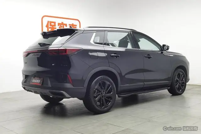 Dongfeng Fengshen Haoji Mach Power 1.5T Premium Type