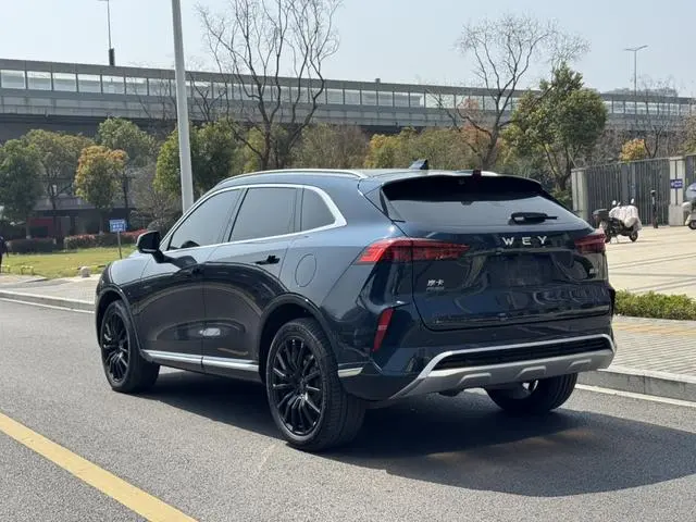 Wei Mocha PHEV 01 Performance Version