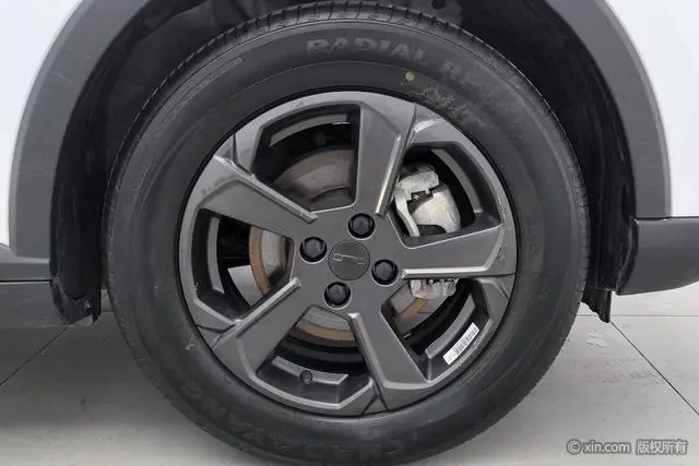 Geometry Geely Geometry E Firefly 401KM Linglong Tiger
