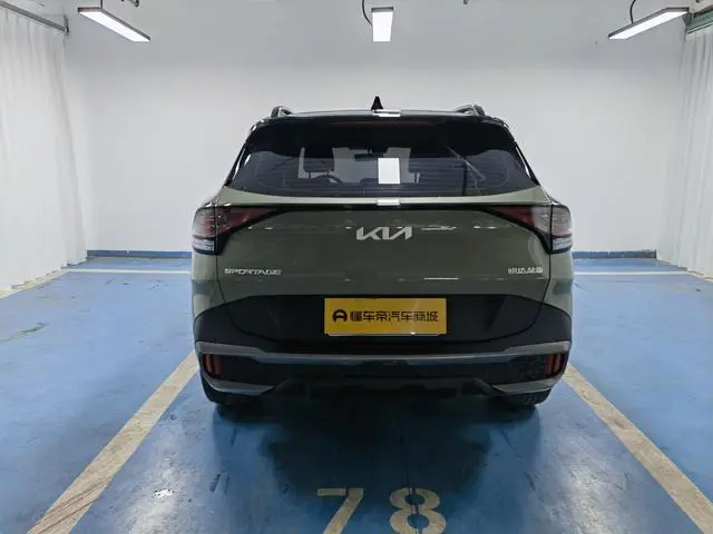 Kia Lion Platinum expands the world 1.5T two-wheel drive Premium edition