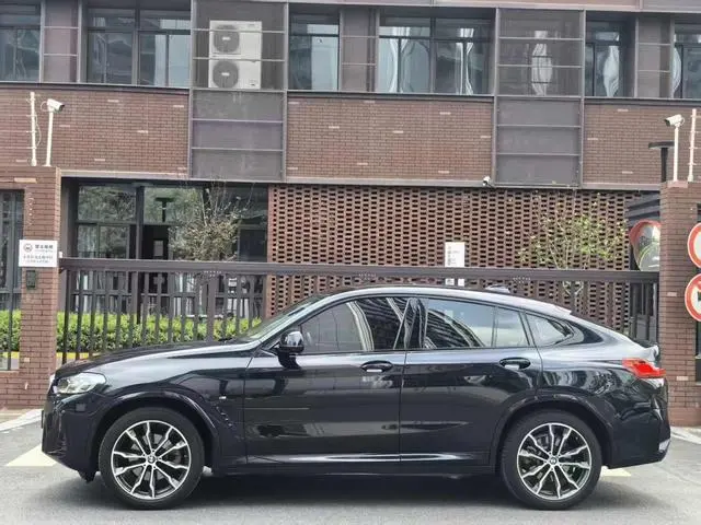 BMW BMW X4 xDrive 30i M sports suit