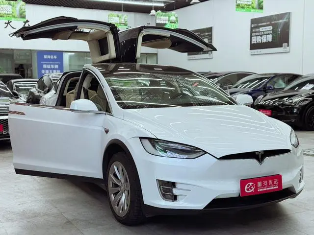 Tesla Model X 75D