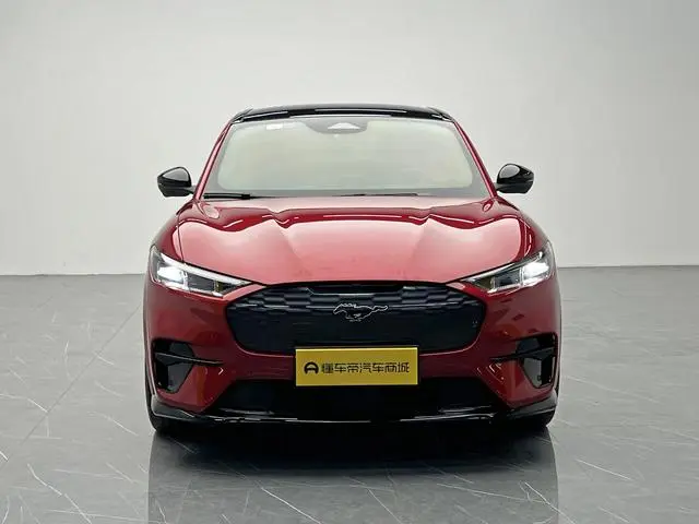 Ford Ford electric Horse GT