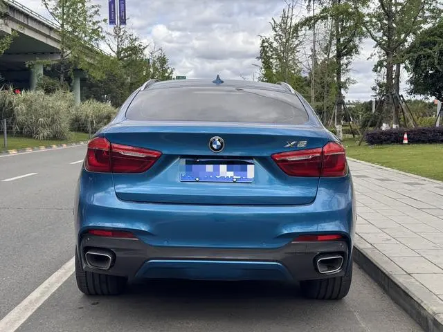BMW BMW X6 xDrive35i leading type
