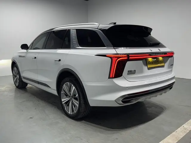 Hongqi Hongqi E-HS9 660km Qichang version six seats