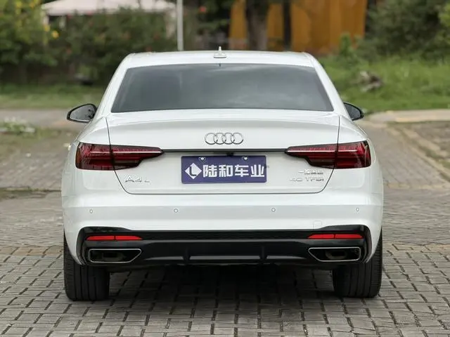 Audi Audi A4L 40 TFSI luxury Dynamic Type