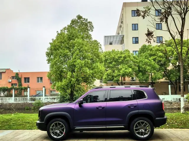 Haval Haval Big Dog 2.0T two-wheel drive Chinese Hound Version