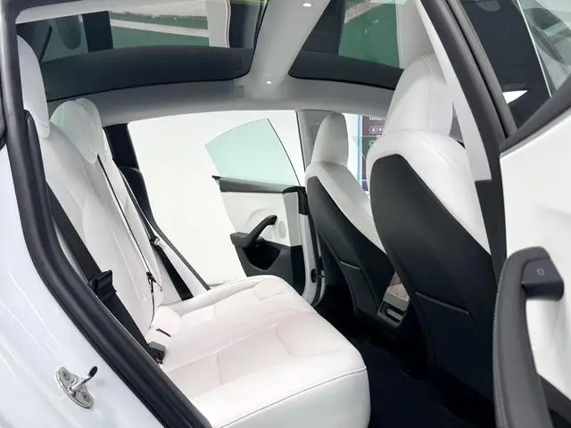 Tesla Model 3 Rear-wheel drive version