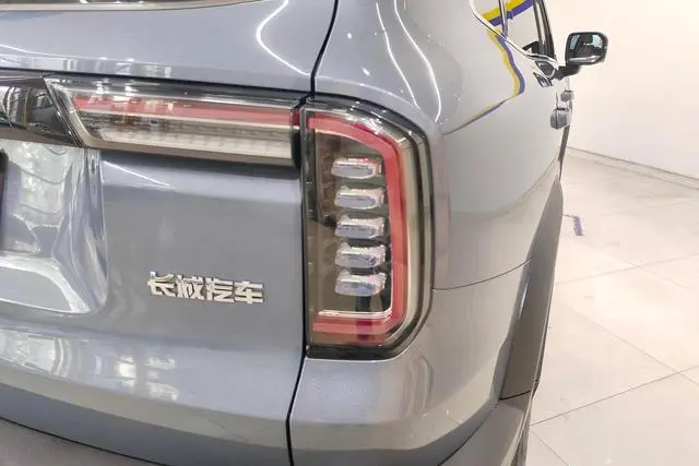 Haval Haval Big Dog 1.5T two-wheel drive horse dog-Wangcai Edition