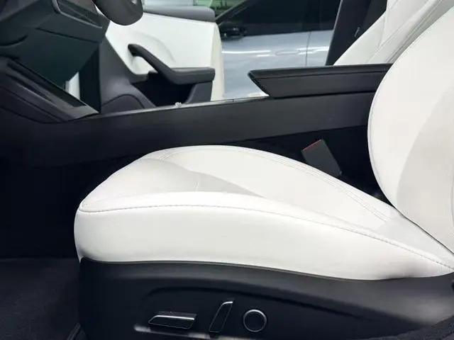 Tesla Model 3 Rear-wheel drive version