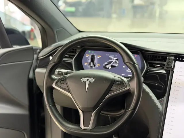 Tesla Model X 100D long battery life version