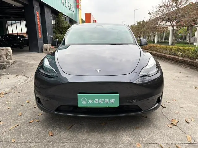 Tesla Model Y Performance high-performance all-wheel drive version