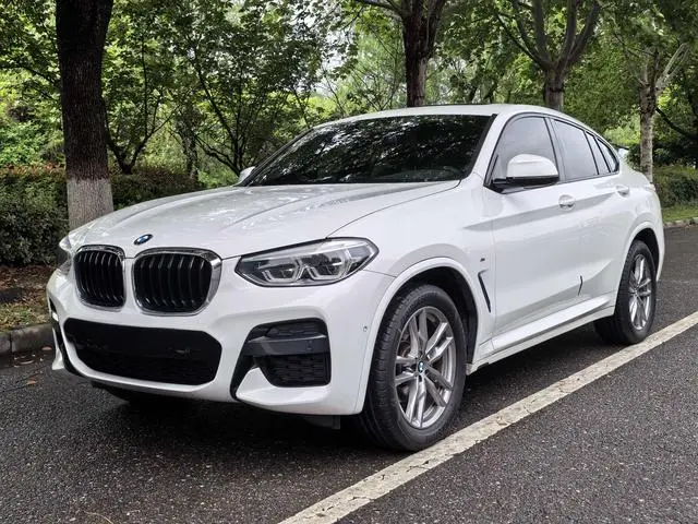 BMW BMW X4 xDrive25i M sports suit