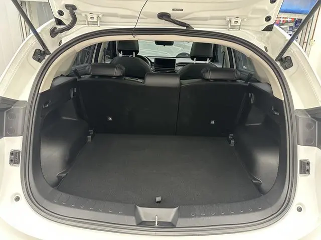 Haval Haval Red Rabbit Jinxiang Edition 1.5T Copper Rabbit