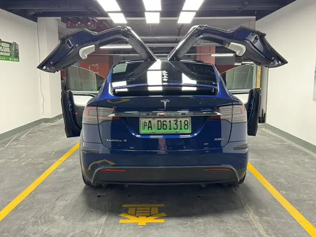 Tesla Model X 100D long battery life version