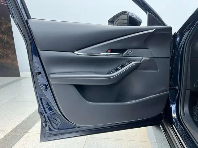 Mazda Mazda CX-30 2.0L automatic Jiayue Version