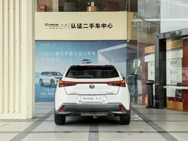 Lexus Lexus UX 260h Exploration*Cool Edition Country VI