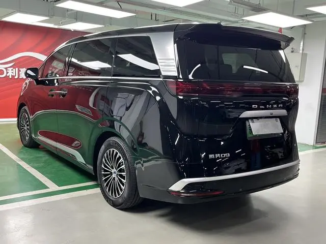 Denza Denza D9 DM 1040 Premium type