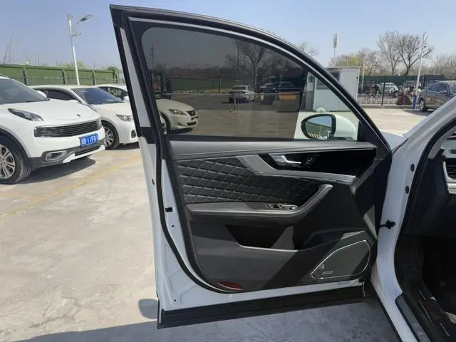 Hongqi Hongqi HS5 2.0T Zhilian Qixiang four-wheel drive version
